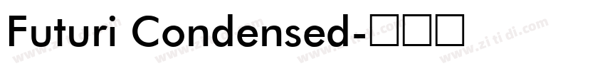 Futuri Condensed字体转换